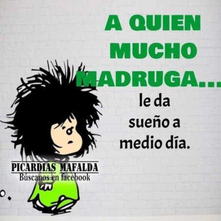  A Quien Madruga Frases De Mafalda 