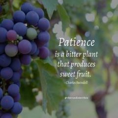 Quotes Of Be Patience